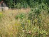 ������� �������� � ��������� ������. ������� ����� - ������������