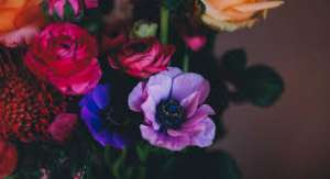 ������� �������� �� ���� ��������. ��������� 100% - ����������� 1