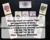 ������� � ����������: �������. �������� �� ����. ������������ ������.