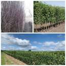 ������� � ����������: ������� �������� �� ��������� �� �����-2021