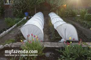 ������� �������� �� ������������� - ����������� 1