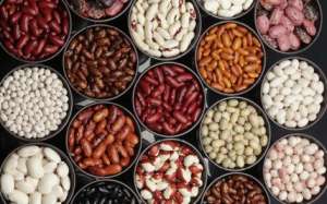 ������� ��������, ���� ������, ���� �����, ʳ���, �������, ˳��, �����, ��� �� ��. - ����������� 1