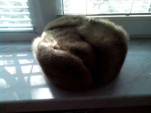 ������� �������� ����� - ����������� 1