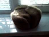 ������� � ����������: ������� �������� �����