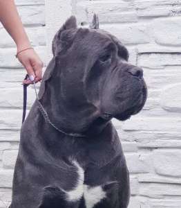 ������� �������� ����� ���� ����� - ����������� 1