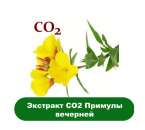 ������� � ����������: ������� �������� ������