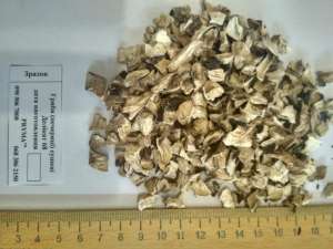 ������� �������� ������ - ����������� 1