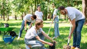 ������� �������� ������ - ����������� 1