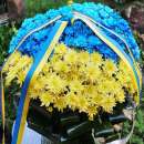 ������� � ����������: ������� �������� ������, ������, �������