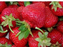 ������� �������� ������ , ������� � ������� ������. - ����������� 1