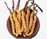 ������� �������� ������: �������, ����, ������� �������, � ��. - ����������� 2