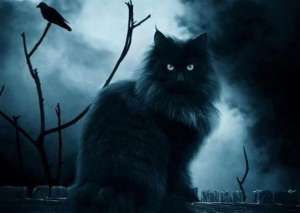 �������, ��������, ������� - ����������� 1