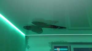 ������� �������� ������� - ����������� 1