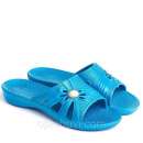 ������� �������� ������� �����. ���� 2019 - ����������� 2