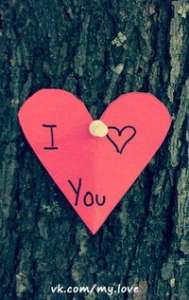 ������� ��������. �������. ������ ������ ����� - ����������� 1