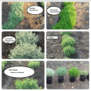 ������� ��������, ������� ������� ���� � ������. ���������� - ����������� 2