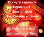 ������� � ����������: ������� ��������. ��������. ������ �����.