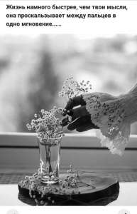 ������� �������� ��������, ������� ����� ��������, ��������-�������� ��������, ������� ���� � �����. �������. - ����������� 1