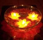 ������� �������� ��������. ��������. �������