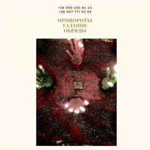 ������� �������� ��������. �������� ��������. ������� ��������. - ����������� 1