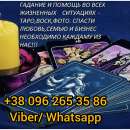 ������� � ����������: �������. �������� ��������. ���������� �� ��������.