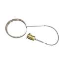 ������� �������� ��������� ����� �� ������� ����� (�����lectric) - ����������� 2