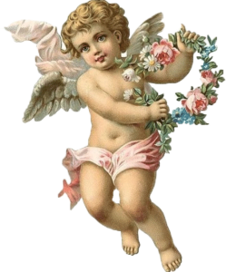 ������� �������� ������������ ������� ��������� �������� ����� - ����������� 1