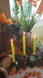 �������. �������� ������.��������. - ����������� 1