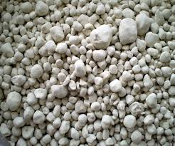 ������� ��������� - ����������� 1