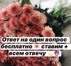 ������� ���������. �����, ������� � ����������� - ������