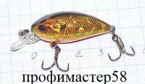 ������� ��������� - ����������� 1