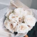 �������/ ��������� Willow Tree - ����������� 2