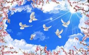 ������� , ��������� , �a�������� ������ ,������ �e������ . - ����������� 1