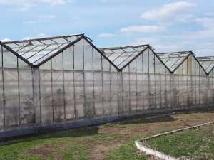 ������� ��������� �/� - ����������� 1