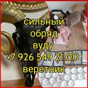 ������� ��������� �� ׸���� �����! ��������� �� ����� �����! ��������� �� ����� ����, � ������������� �����"����" � �����"����� - ����������� 1