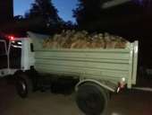 ������� ��������� �� ����������� �������: ����, ������, ������, ���� �� ��. ������ ���������. - ����������� 2