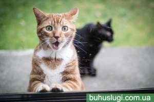 ������� ��������� ����� � ����� - ����������� 1