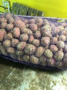 ������� ��������� ����� � ������� ������ ����� �� ������������� 9�. - ����������� 1