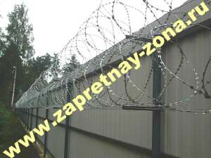 ������� ��������� ����� � �����-����������. ������ . �������. - ����������� 1