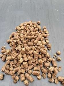 ������� ��������� ����� ����. - ����������� 1