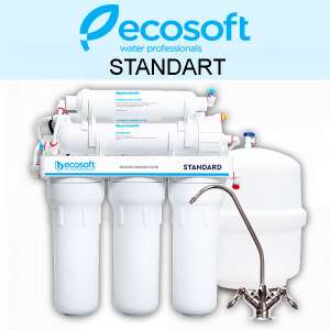 ������� ��������� ������ Ecosoft Standard � ��������������� (MO650MECOSTD) - ����������� 1
