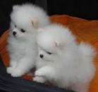 ������� � ����������: ������� ��������� ������!