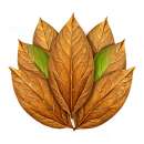 ������� ��������� ������ Tobacco Leaf Shop - ����������� 2