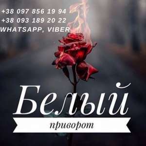 �������. ���������. ������ �������. - ����������� 1