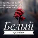 ������� � ����������: �������. ���������. ������ �������.