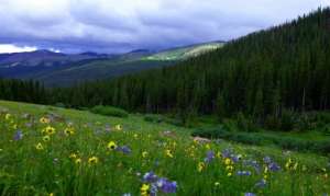 ������� ��������� ������� - ����������� 1