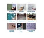 ������� � ����������: ������� ��������� ������� ���� �����