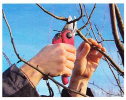 ������� ��������� �������� - ����������� 1