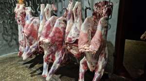 �������, ���������, ��������, �������� - ����������� 1