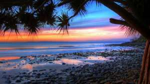 ������� ��������� ��������� - ����������� 1